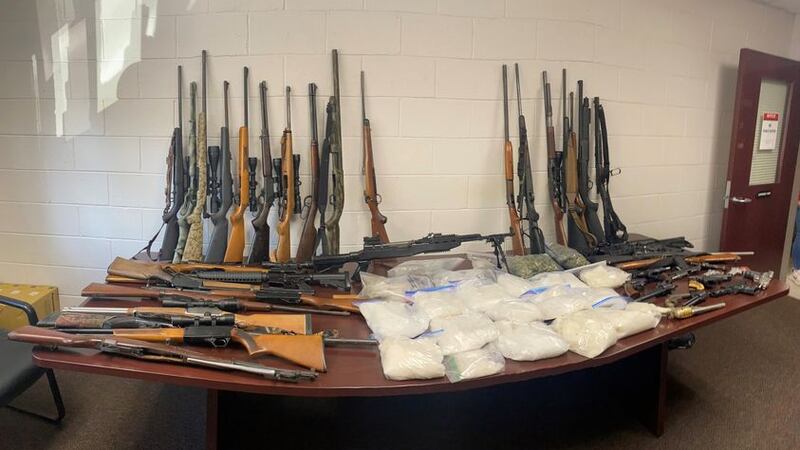 Drugs and guns seized in Fannin County