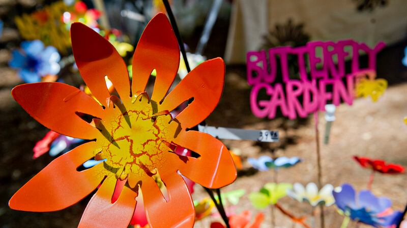 Yellow Daisy Festival