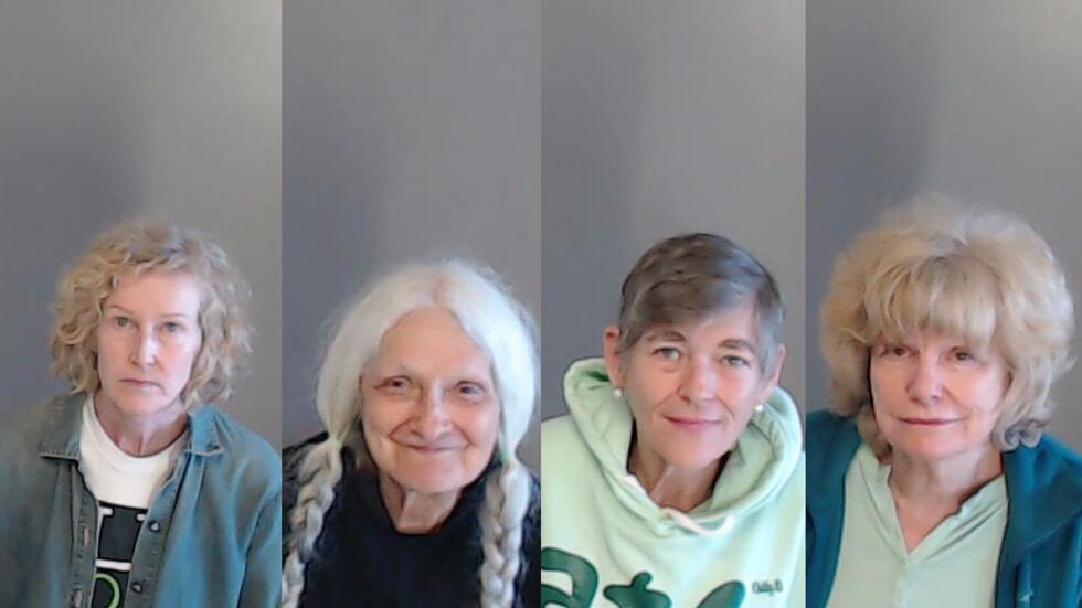 (From left to right) Laura Kearns, Lorraine Fontana, Priscilla Smith and Shelley Nagrani were...