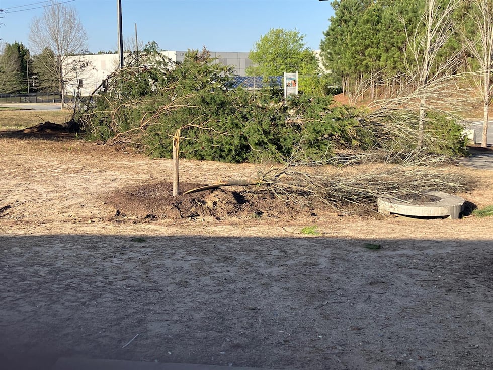 Tree falls in Cherokee County