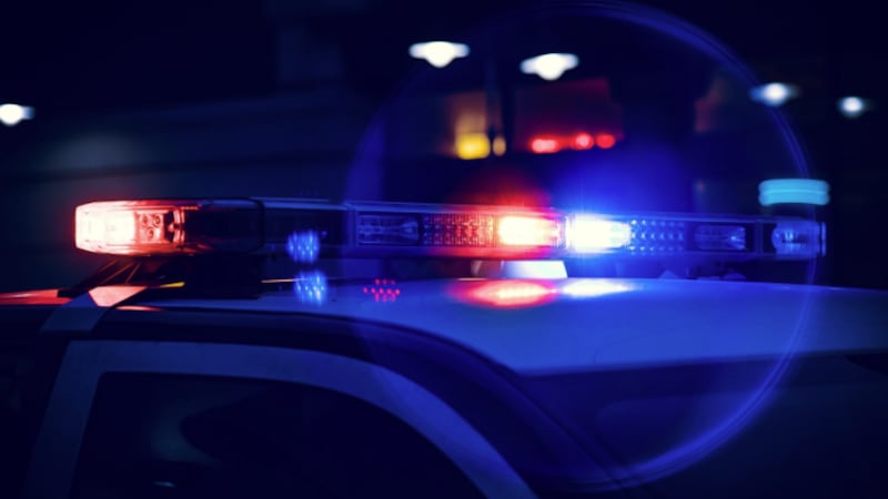 Stock photo of police lights.